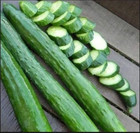 100  Japanese Long Burpless Cucumber Seeds -- Heirloom --- Non Gmo