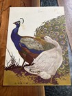 Vintage How To Draw And Paint Birds Magazine Book Walter Foster Art Manual 1960s