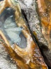 Morrisonite Jasper Rough