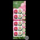 2025 -canada -peonies      Stamps - Booklet Of 10 -mnh