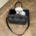 Breathable Cat Dog Puppy Pet Airline Approved Travel Carrier Bag Free Harness