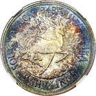 1948 S  Africa Silver 5 Shillings Ngc Pl66   Gorgeously Toned   Premium Quality 