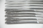 Rogers Floral Mist Stainless Flatware Set Of 9 Knives Black Rose Accent Satin
