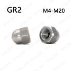 Titanium Gr2 Hex Cap Nuts Hex Acorn Nut M4 M5 M6 M8 M10 M12 M16 M20