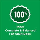 Purina Dog Chow Complete  Dry Dog Food For Adult Dogs High Protein  Real Chicken