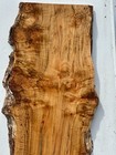 J121 Tiger Maple Burl Live Edge Slab   Birds Eye Epoxy Project  Curly  50x20x1 5