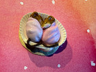 Wee Forest Folk Wee Sea Twins M-389b