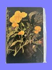 Reputation Flower Original Notebook Taylor Swift 2025 New