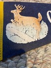 Vintage Catskill Game Farm New York Ny Souvenir Banner Pennant Deer Buck Antlers