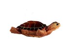Sea Turtle   Little Brown   Ocean Amphibian   Figurine Statue
