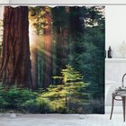 Sunshine Forest Shower Curtain With Hooks Fabric Bathroom Decoration 72 Inches