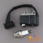 Ignition Coil For Echo Es250 Pb250 Pb250ln Es252 Pb252 Blower A411000502