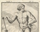 2 Rare Antique Anatomical Prints-man-naked-model-spigelius-casserius-1645