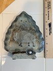 Vintage 3d Relief White Bison Buffalo Resin Sculpture Arrowhead Shape