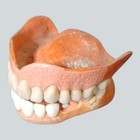 Antique False Teeth Vulcanite Dental History Oddity Display Collectible