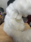 Russplus White Bunny Rabbit Plush Stuffed Animal W  Hang Tag Care Booklet