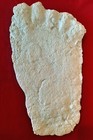 Bigfoot Track  New Discovery By Turtleman  ernie Brown  Jr  Exclusive Offer 3700