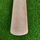 Puma Calibre 4000 English Willow Cricket Bat Mens Sh New