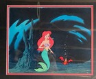 Original Production Cel From The Little Mermaid Certificate Of Authenticity