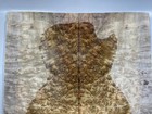 Guitar Top Veneer 5a Birds-eye Golden Canphor Wood Burl Luthier Supply