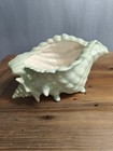 Atlantic Mold Pale Seafoam Green Conch Shell Planter 10  Mcm Vintage