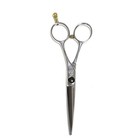 Hikari E-5 5 Professional Hair Cutting Shears Scissors Right Handed Japan Used