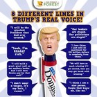 Talking Donald Trump Pen     Collectible Edition - 8 Sayings In His Real Voice