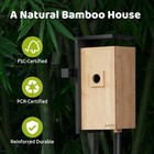 Birdfy Smart Bird House Camera 1080p Dual-cam Ai   Solar Powered Wireless Bamboo