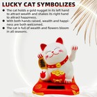 Lucky Cat Waving Arm Set  Vivid And Lovely Chinese Cat  Solar Fortune Cat
