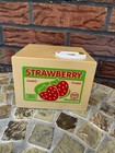 Cat In A Strawberry Box Coin Bank Motorized Kitty Grabs Coin   Says Thank You