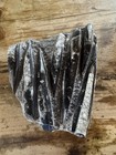Orthoceras Polished Fossil Plate Approx 8 5 In X 9 5 In And 4 Lbs 9 5 Oz