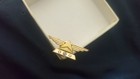 The Pilot Pin Badge Collectible Featuring An Airline Design 