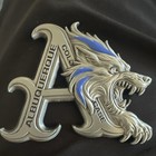 Huge 3d Albuquerque Police Cold Case Homicide Team Challenge Coin 