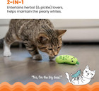 Catstages Crunchy Pickle Kicker Dental Catnip Cat Toy