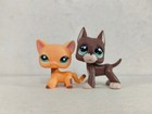 2pcs lot Littlest Pet Shop Toy Lps Cat Dog  1643 1519 Kid Toy New