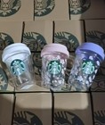 Starbucks Sakura Tumbler 296ml Double Wall Glass Cup With Lid Coffee Travel Mug
