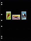  38 00 Scott Value - 1963 Senegal Birds West Africa Scarcer Cv Mnh Nh Umm