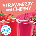 Snack Pack Zero Sugar Strawberry And Cherry Flavored Low 12 Count  pack Of 1 