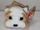 Ty Beanie Baby - Wrinkles The Bull Dog 8  New Mwmts Plush Stuffed Animal Toy
