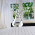 Angel Design Glass Vases Clear Flower Plant Terrarium Container Hanging Vase    