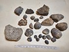 Wisconsin Fossil Fragments Mixed Lot 25 Piece - Brachiopods Horn Coral Favosites