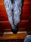 Huge Beautiful Tanned Silver Fox Fur Pelt Skin Taxidermy S1 Man Cave Log Cabin