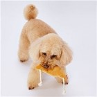  set Of 5  Mochimochi Bakery Croissant  dog Toy  Wholesale Item 