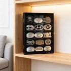 Displaygifts Belt Buckle Display Case 16 X12 Inch  Wall Mount Black Finish