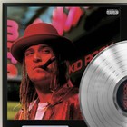 Kid Rock - Devil Without A Cause Silver Lp Record Plaque Display