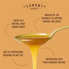 Egmont Raw Manuka Honey Mgo 50  - 100  Pure New Zealand Manuka Honey - Non-gmo