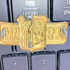 Officer Collar Pin 29th Seperate Company New York State National Guard