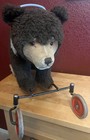 Steiff Large Antique Mohair Rider Ride On Bear Pull Handle Growler Post Ww2
