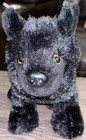 Rare Ganz Webkinz Black Wolf Hm700 Stuffed Plush Dog No Code Us95