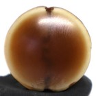 Genuine Ancient Banded Agate Stone Luk Mik Dzi Bead Over 2000 Years Old